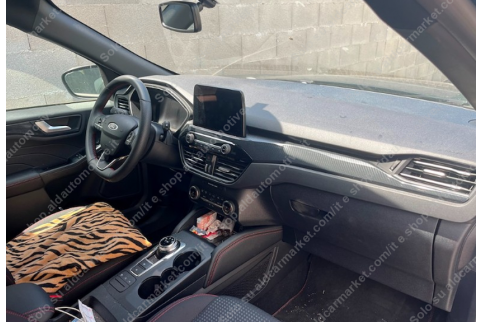 2023 Ford Kuga, Dyzelinas